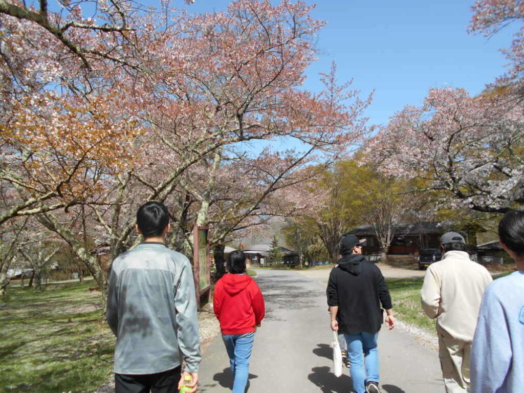 長野県　松本市　就労移行支援事業所　ブライトまつもと　「お花見ウォーキング」