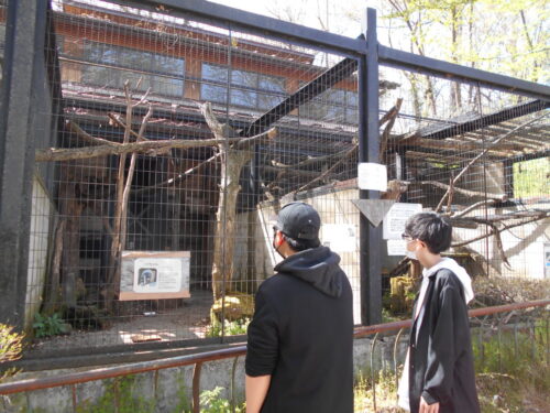 長野県　松本市　就労移行支援事業所　ブライトまつもと　動物園