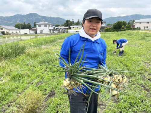 エコミットとよしな　安曇野市　豊科　就労継続支援　B型　エコミットとよしなでの初めての収穫体験