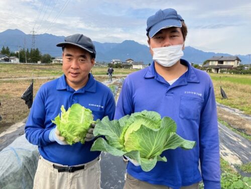 エコミットあかしな　安曇野市　明科　就労継続支援　B型　事業所　キャベツ